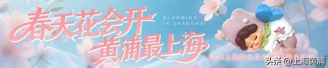 跟着“韩国欧尼”逛花海：花卉节引燃“花样经济”｜黄浦日记