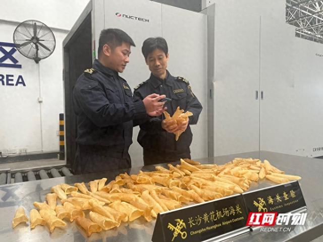 干鱼鳔多少钱一斤 2026年干鱼鳔炖鸡一次放多少克 干鱼鳔多少钱一斤 2026年干鱼鳔炖鸡一次放多少克