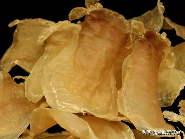 赤嘴鳘鱼胶是什么 2026年赤嘴鳘鱼胶的特征