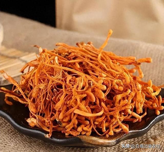 产后花胶虫草花炖瘦肉 2026年虫草花胶瘦肉汤的做法