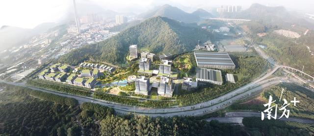 点解花胶煮热变成一小 2026年花胶煮化了什么原因