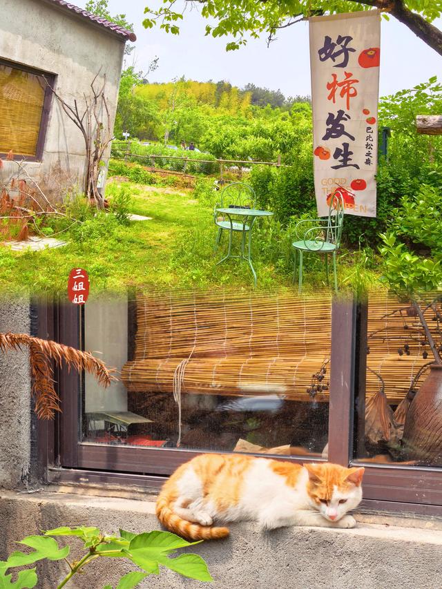 溧阳石塘村，不是食堂，是文艺青年的梦想天堂