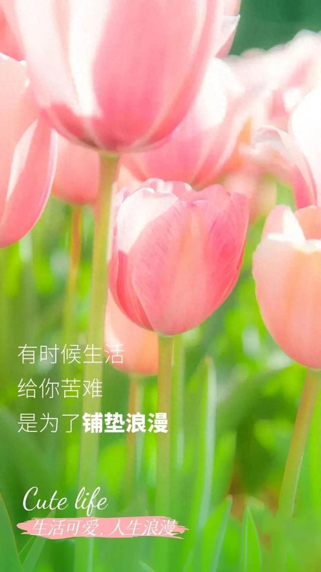 16句很有力量的正能量励志金句，句句闪光，字字入心，催人奋进！