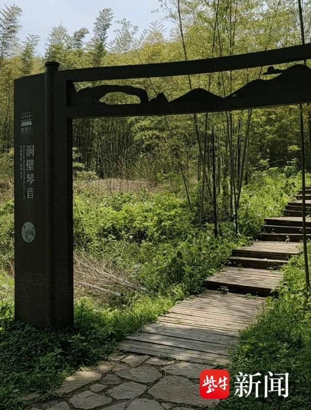 南京无想山网红栈道出笋期被封引热议 溧水区林场回应:已开放步道 后期加派人员管理