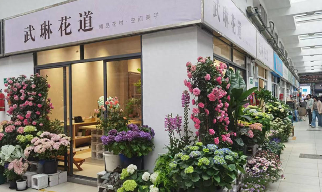 母亲节花市新韵：凤起花鸟城的美学之旅