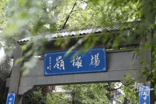 花胶煲干菜 2026年花胶菜干汤功效与禁忌