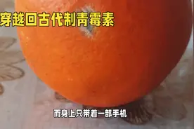 假如穿越回古代如何制作青霉素图片