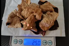 🎈家人们，今天买的玻璃锅到了图片