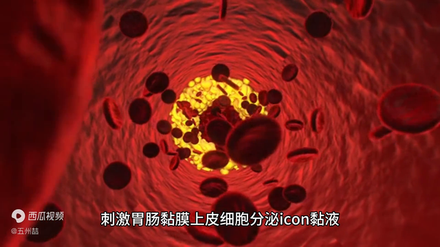 荆花胃康胶丸能胶果 2026年荆花胃康胶丸能常吃吗