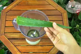 蝴蝶兰花剑养护繁殖高芽小苗的方法 #蝴蝶兰养护法#花卉绿植图片