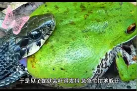 关于十二生肖中的蛇，这些故事你知道多少？图片