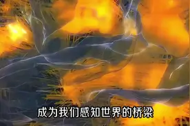 第1集 【人体的微观世界】生命乐章之神经系统 #人体奥秘图片