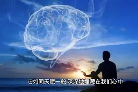智慧的奥秘：掌管生命与灵性中枢的松果体图片