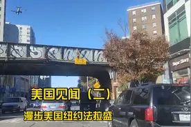 美国纽约法拉盛是全美华裔最多的聚居地图片