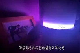 这首歌送给胖猫，希望你能成为江里的鱼自由自在的游，不要...图片