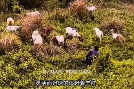 双腿残疾，眼含希望！谢宗涛兄妹逆境求生，感动无数网友💪图片