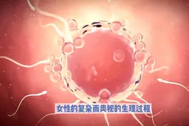 女性月经是如何行成的图片