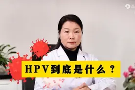 HPV到底是什么？图片