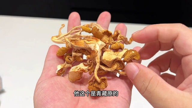 桂圆花胶鸽 2026年花胶可以和桂圆枸杞一起炖吗 桂圆花胶鸽 2026年花胶可以和桂圆枸杞一起炖吗