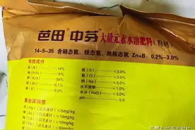 水溶肥的肥效有几天？图片