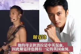 揭秘娱乐圈十大混血明星，谁是你心中的颜值担当？图片