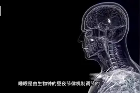 睡觉时我们的身体在做什么#科普图片