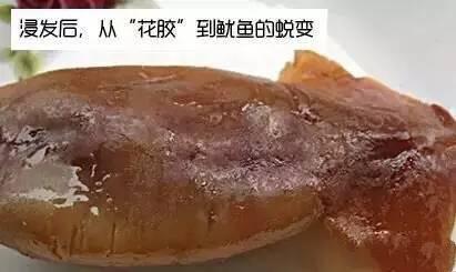 哪里能买到正宗的花胶 2026年哪里可以买到正宗的花胶