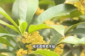 一个古老的故事，地藏王菩萨显灵图片