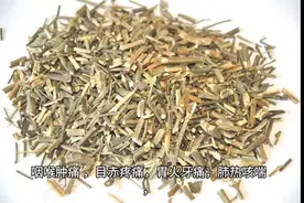 每日中药—穿心莲图片