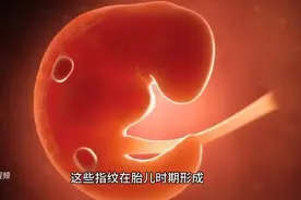 让人难以理解的人类身体未解之谜图片