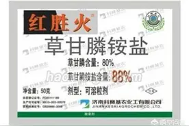 能斩草除根的除草剂有哪些？图片