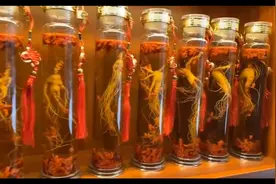 一瓶二斤的老参王人参酒，装高年头林下参，可装6年大鲜参图片