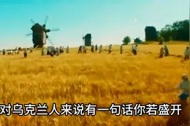 乌克兰人现在为什么拼死抵抗？图片