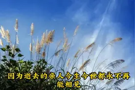 为什么做梦时梦不到逝去的亲人？#殡葬图片