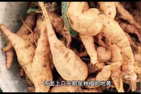 农村两种异曲同工的植物，价格相差好几倍，值得认识图片