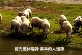 属羊人一生运势分析图片
