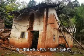 #奇闻奇事图片