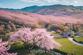 寻求真爱秘术-桃花术图片