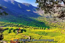 分享一条去浙江覆卮山看梯田花海的自驾路线，全程50公里图片