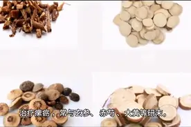 每日中药—白蔹图片