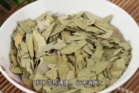 【中药】番泻叶甘、苦、寒，归大肠、胃、脾、肝经图片