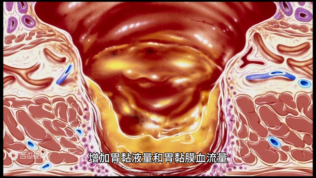 荊花胃康胶九治胃病的效果 2026年荆花胃康胶丸功效及副作用