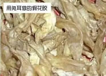 哪里能买到正宗的花胶 2026年哪里可以买到正宗的花胶