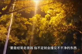 半夜开车撞见怪事？司机误入邪路险丧命，真相是啥？图片