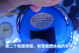 鱼缸到底买大的水泵合适？看完教你正确选择#鱼缸图片