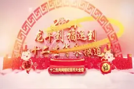 十二生肖扇形纯银纪念币大全套#春节图片