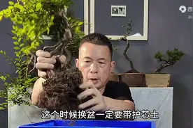 盆景造型左右为难就按这种方法去剪图片