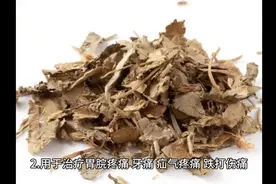 寻骨风苦平归肝经|祛风通络、通络止痛图片