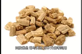 每日中药—党参图片