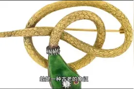 梦到蛇是什么意思？图片